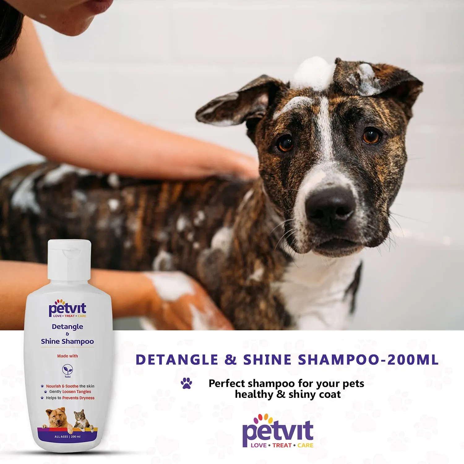 Petvit Detangle & Shine Shampoo with Tulsi Oil |Detangles & Conditions for Soft/Shiny/Healthy Coat, Vegan & Cruelty-Free, pH Balanced, Hypoallergenic, for All Breed Dog/Cat - 200ml, White, (39)